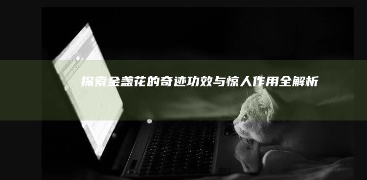 探索金盏花的奇迹：功效与惊人作用全解析